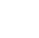 USP Icon