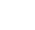 Google Icon